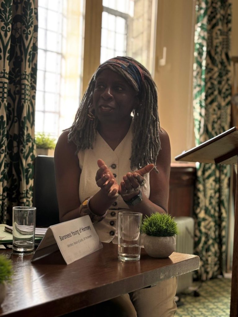 Baroness Young of Hornsey